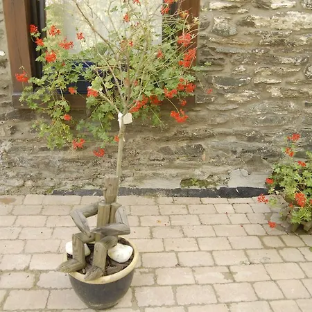 Le Clos Arboré Hébergement de vacances Libramont-Chevigny
