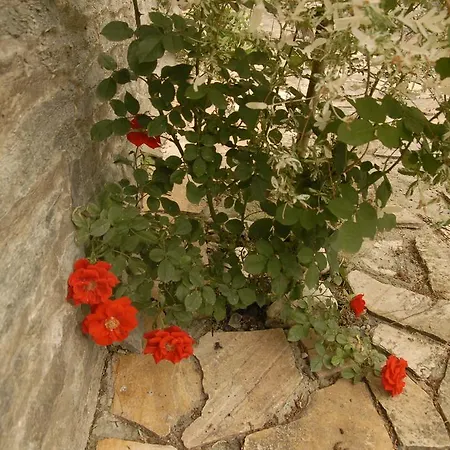 Le Clos Arbore Holiday home