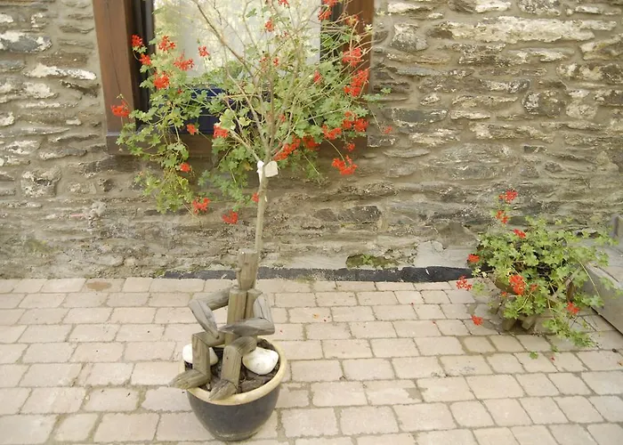 Le Clos Arbore Holiday home Libramont-Chevigny