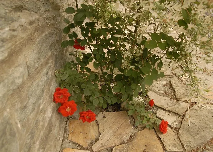 Le Clos Arbore Holiday home