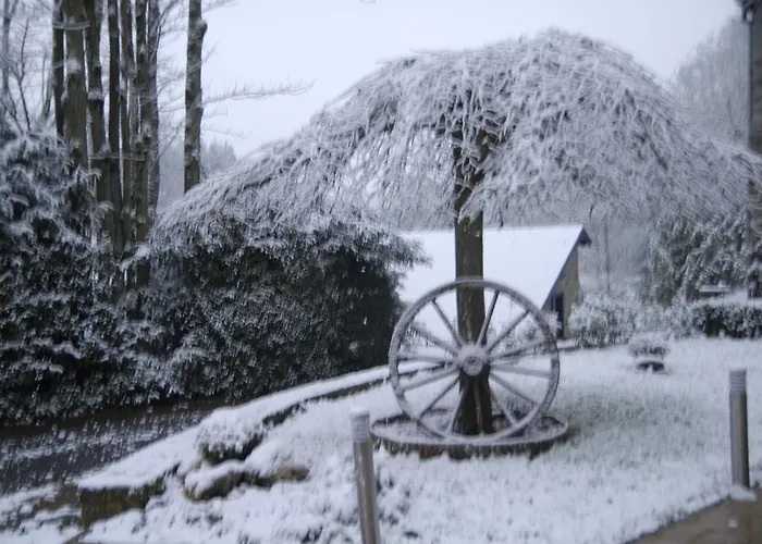 Holiday home Le Clos Arbore